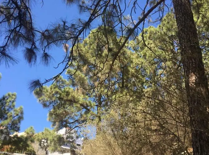 El Mirador Apartment *