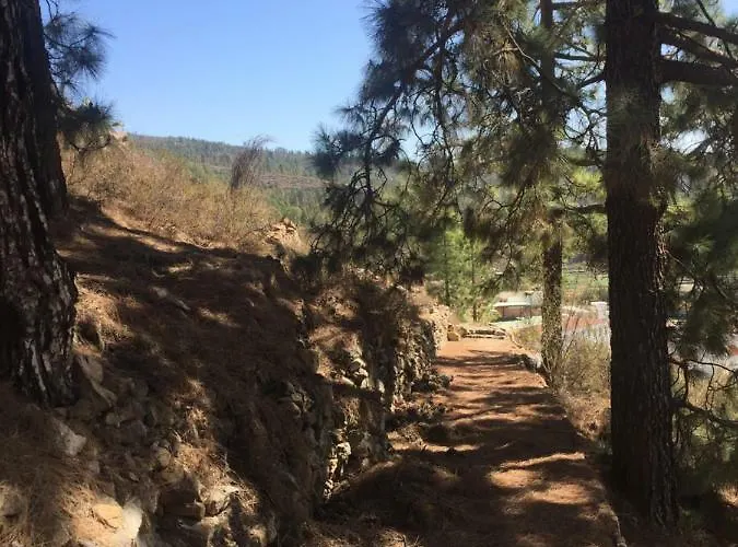 El Mirador Vilaflor