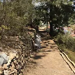 El Mirador Vilaflor