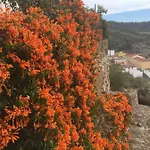 El Mirador